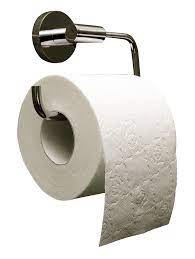 Toilet Paper Roll Png Image Toilet Paper Toilet Paper Roll Paper