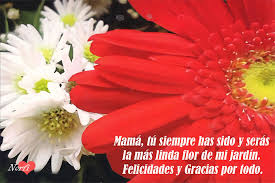 Check spelling or type a new query. Imagenes Tarjetas Y Postales Para Mama En El Dia De Las Madres