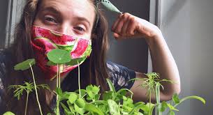 The Naturalist Notebook Blog