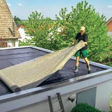 Dachbegrunung Die Wichtigsten Infos Das Haus Dachbegrunung Flachdach Begrunung Gartendach