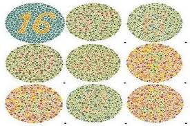 More images for download gambar tes buta warna » Color Blind Test Software Tes Buta Warna