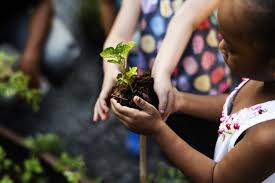 Find & download free graphic resources for tree plantation. Want To Fight Climate Change Plant 1 Trillion Trees Live Science