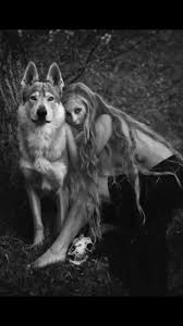 Pin By Nicholas On Wolf Pack Wolf Dog Animals Wolf Running
