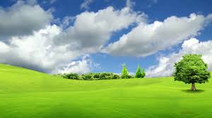 Amazing Nature Background Video Nature Landscape Free Bsmotion Youtube