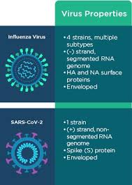 Influenza b symptoms are very similar to those of the common cold. Covid 19 And The Flu