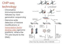 Over the past years, chromatin modification has emerged as a key regulator of gene expression. Chipseq Data Analysis