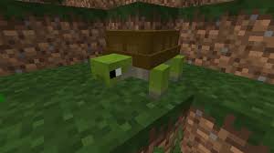 Mod Animals Plus 1 9 Minecraft statistictortue has interesting statistics! mod animals plus 1 9