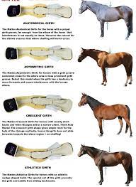 Try A Mattes Crescent Girth For Rivi Dressage Horses Horse Anatomy Horse Life