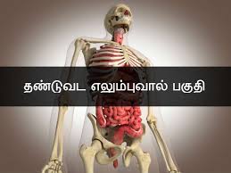 Vocabulary about parts of body including tamil meaning part 1. à®®à®© à®¤ à®‰à®Ÿà®² à®² à®¤ à®µ à®¯ à®© à®± à®‡à®° à®• à®• à®® à®ªà®¯à®©à®± à®± à®‰à®Ÿà®² à®ª à®•à®™ à®•à®³ Nine Useless Human Body Parts Tamil Boldsky