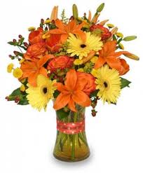 Shop our wide selection to help make that special someone's day. Albany Florist Albany Ny Flower Shop Ambiance Florals Events
