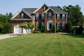 For example, bianchi and van der werf (2004) showed, by modeling, that if the. Organic Lawn Care How To Go Chemical Free And Maintenance Tips This Old House