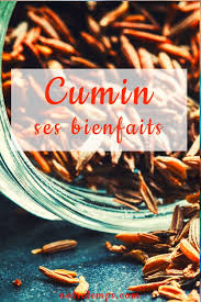 Antispasmodique Et Anti Inflammatoire Le Cumin Facilite Des Nuits Sereines Et Une Bonne Digestion Nutrition Sante Sante Nutrition C Est Bon