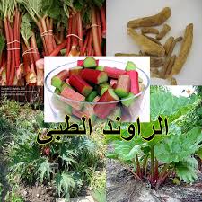 More images for الراوند » Facebook