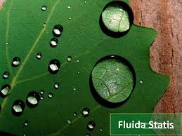 Sistem terbuka (open channel) sistem. Fluida Statis Ppt Download