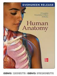 Has anyone taken Dr. Jeffrey Lease for Anatomy 125? If so, how is he?