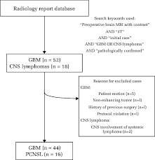 Sympathetic and parasympathetic nervous system. Flow Chart Of Subject Enrollment Gbm Glioblastoma Cns Central Download Scientific Diagram