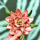 Flower Clay Hand Building Class