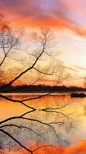 Maybe you would like to learn more about one of these? Lake Sunset Trees Landscape Beach Art Night Reflection Iphone 4s Wallpapers Free Download