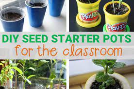 Check spelling or type a new query. Diy Seed Starter Pots You Can Do In The Classroom