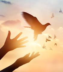 We offer delivery to toledo, oregon and surrounding areas. Jennifer Lewis Service Details Toledo Ohio Bersticker Scott Funeral Home