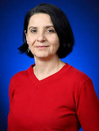 Undergraduate German Studies