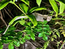 Photo of the Day | April 2024 | Page 21 | MacRumors Forums