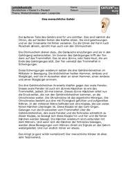 Markiere die entsprechenden informationen im sachtext. Leseproben Deutsch Klasse 3 Grundschule Catlux