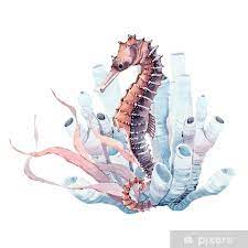 Disegno Cavalluccio Marino Gia Colorato Coloradisegni How To Draw Hands Illustration Underwater Painting