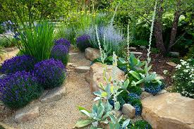 We did not find results for: Planting Native Plants In Your Sacramento Landscape Design Zone 9b