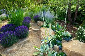 These basic concepts underlie a design's composition: Planting Native Plants In Your Sacramento Landscape Design Zone 9b