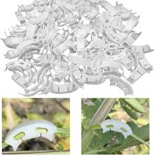 Brave Tour प्लांट बेंडर, कम तनाव प्रशिक्षण के लिए प्लांट ट्रेनिंग, शाखाएं  बेंडर झुकने क्लिप्स प्लांट सपोर्ट क्लिप्स टहनी क्लैंप, पौधों की वृद्धि को  नियंत्रित करें (300 पीसी) : Amazon.in: बाग-बगीचा और आउटडोर