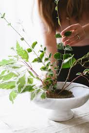 Many thanks and sunny greetings kris. 9 Flower Arranging Tips From A Floral Designer Pro Jojotastic