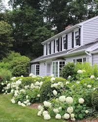 During winter, the plant can tolerate cold temperatures of up to about. Pruning Hydrangeas Changing Their Color Reviving Wilting Blooms Other Tips And Tricks That Will Make You A Hydrangea Boss Driven By Decor