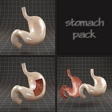 Anatomy Stomach Pack 3d Model 3d Model Character 3d Model Stomach