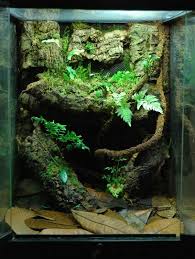 21 Best Aquascaping Design Ideas To Decor Your Aquarium Tips Inside Homelovers Frog Terrarium Terrarium Snake Terrarium