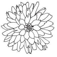 Flower Line Drawing Flower Line Drawings Flower Drawing Flower Sketches