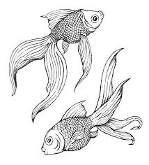 Pen Art In 2020 Fish Drawings Ink Artwork Ink Drawing Illustration