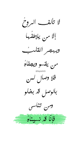 لا تألف الروح إلا من يلاطفها Spirit Quotes Cool Words Language Quotes