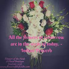 20 lotus flower quotes worth pondering. 26 Flower Quotes So Life Quotes