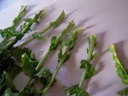 We did not find results for: Come Pulire Le Cime Di Rapa Scuola Di Cucina Con Foto