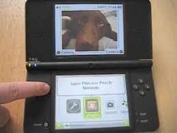 dsi vs dsi xl