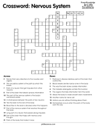 A comprehensive, fun and entertaining site devoted exclusively to histology. Anatomy And Physiology Unit 6 Key Nervous System Review Sheet