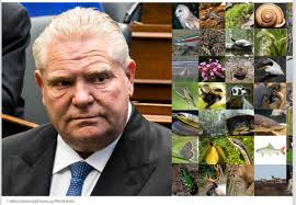 Petition to the Environment Minister for stronger laws to protect Nature  attached. Please consider signing. 💚