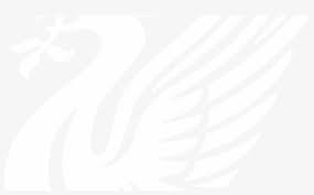 Liverpool fc logo svg, liverpool fc golden logo, liverpool logo png, liverpool logo silhoute, liverp. The Reds Army Liverbird Vector Stock Liverpool Fc Logo Logo Liverpool Vector Ai Transparent Png 1200x630 Free Download On Nicepng