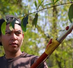 Professional Garden Maintenance Company Kent