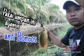 Al quran adalah hukum pertama di dalam islam, setelah hadits. Amalan Do A Mustajab Untuk Memancing Ikan Indragiri Pos