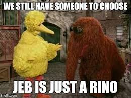 Big Bird And Snuffy Meme Big Bird Animal Memes Bird