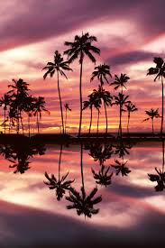 Sunset background beach stock vectors, clipart and illustrations. Tumblr Beach Sunset Wallpaper Iphone Hd Wallpaper