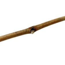 Image result for grapevine cuttings