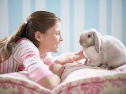 How Long Do Rabbits Live Pet Rabbit Lifespan Petmd
